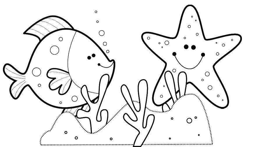 Название: Раскраска Рыбка и морская звезда. Категория: морское. Теги: морская звезда, море, рыбка.