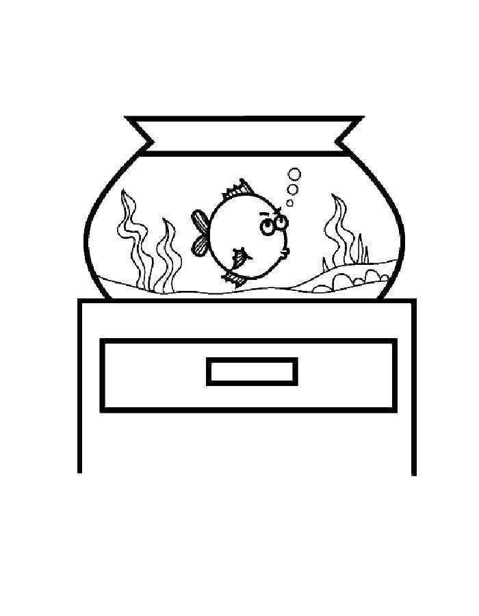 Название: Раскраска Рыбка плавает в аквариуме. Категория: рыбы. Теги: Подводный мир, рыба.