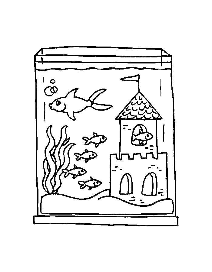 Название: Раскраска Рыбки живут в замке. Категория: рыбы. Теги: Подводный мир, рыба.