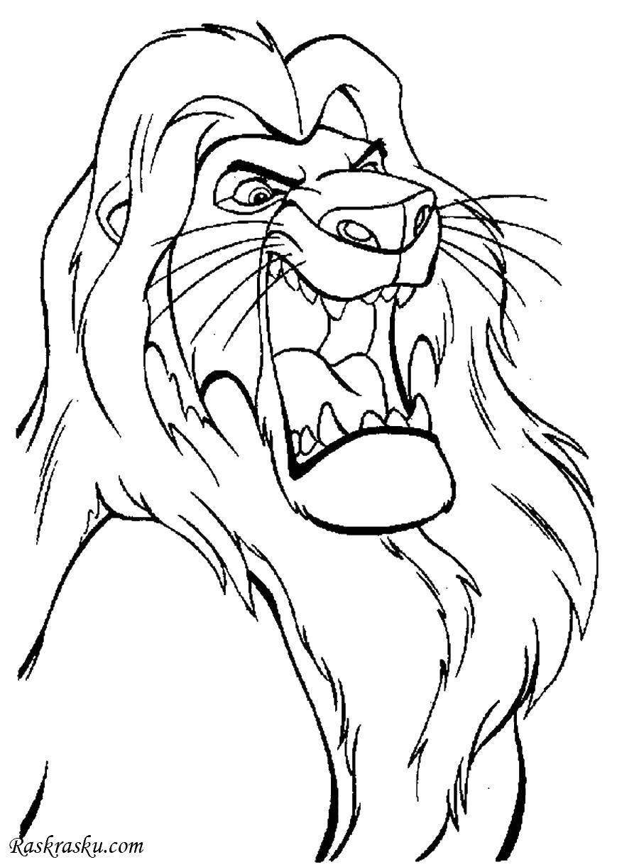 Coloring Scar.. Category Disney coloring pages. Tags:  Disney, Lion King.
