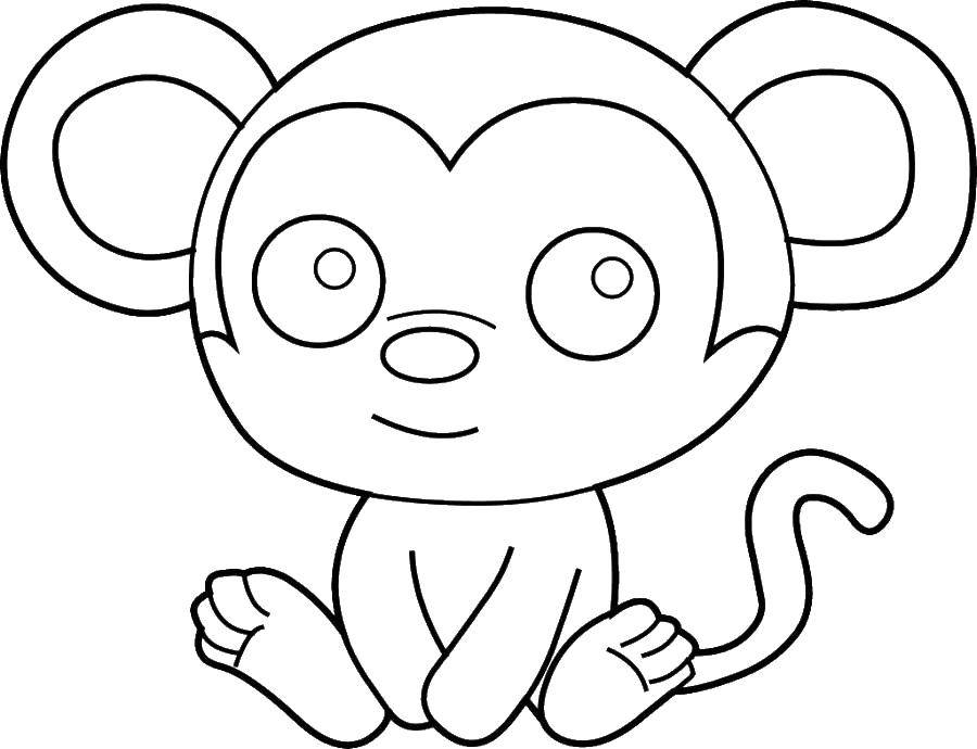 Название: Раскраска Смущенная обезьянка. Категория: простые раскраски. Теги: Животные, обезьянка.