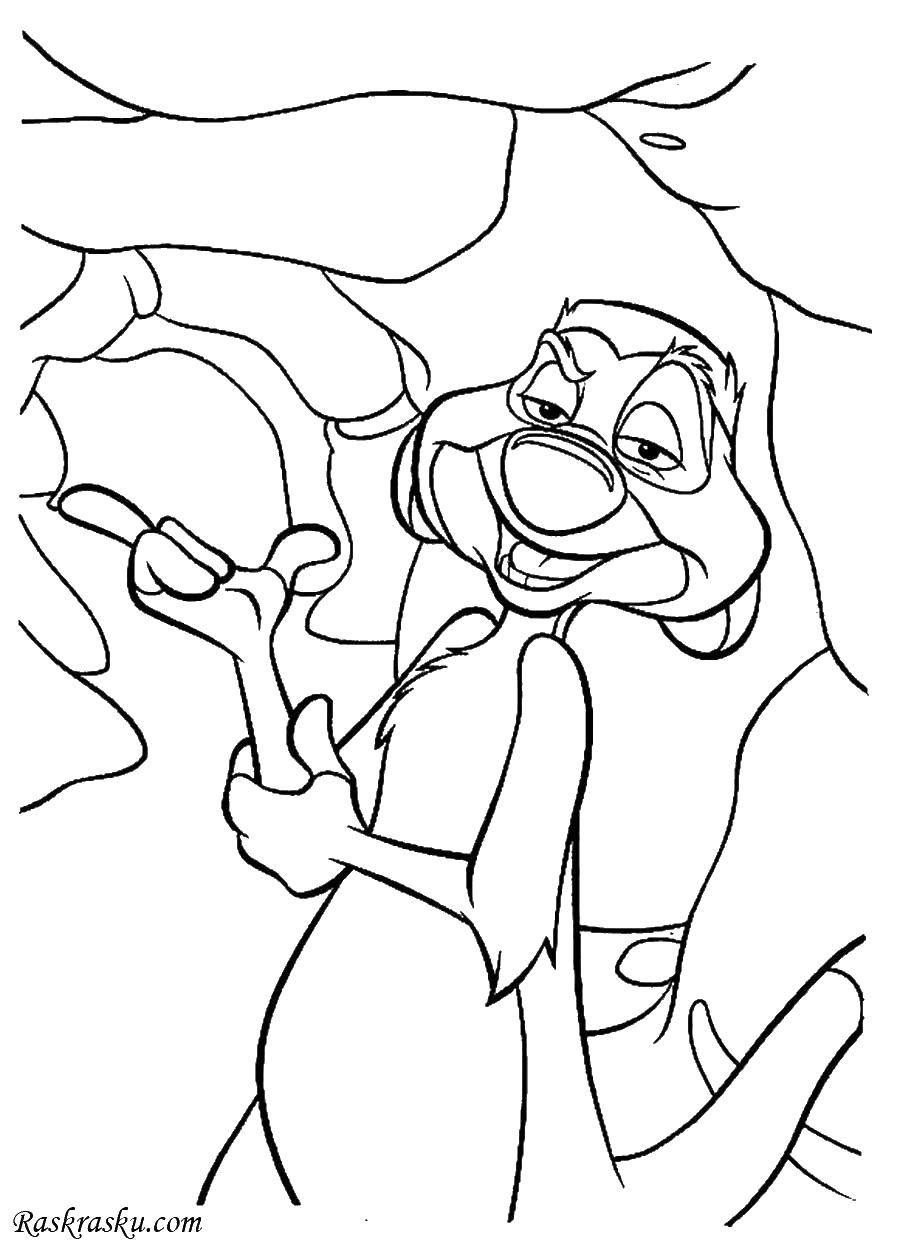 Coloring Timon. Category Disney coloring pages. Tags:  Disney, Lion King.
