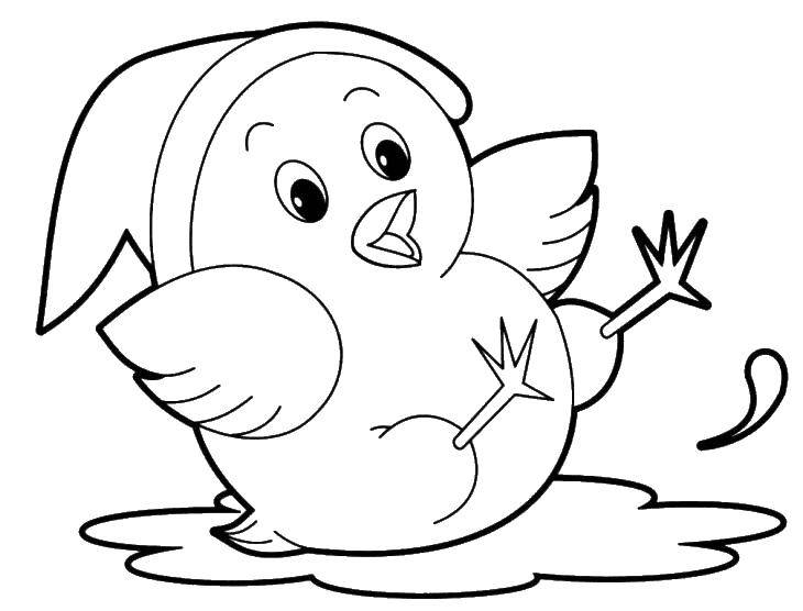 Название: Раскраска Цыпленок упал в лужу. Категория: Раскраски для малышей. Теги: цыпленок, птицы.