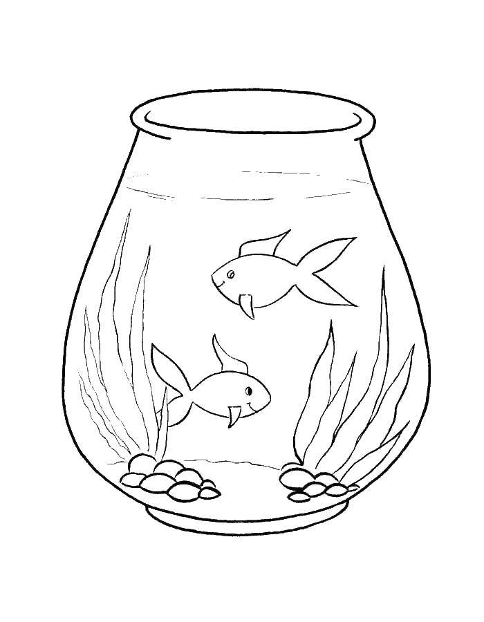 Название: Раскраска Золотые рыбки в аквариуме. Категория: рыбы. Теги: золотые рыбки, аквариум.