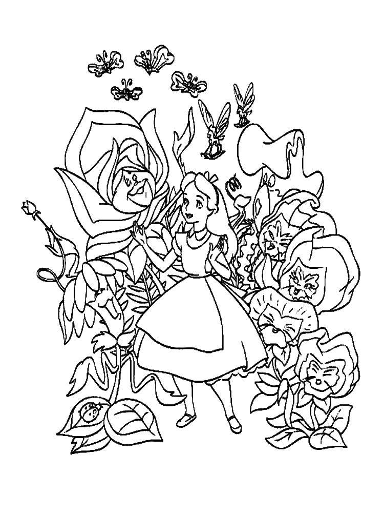 Розмальовки  Аліса серед квітів. Завантажити розмальовку аліса в задзеркаллі, мультфільми, квіти.  Роздрукувати ,розмальовки,