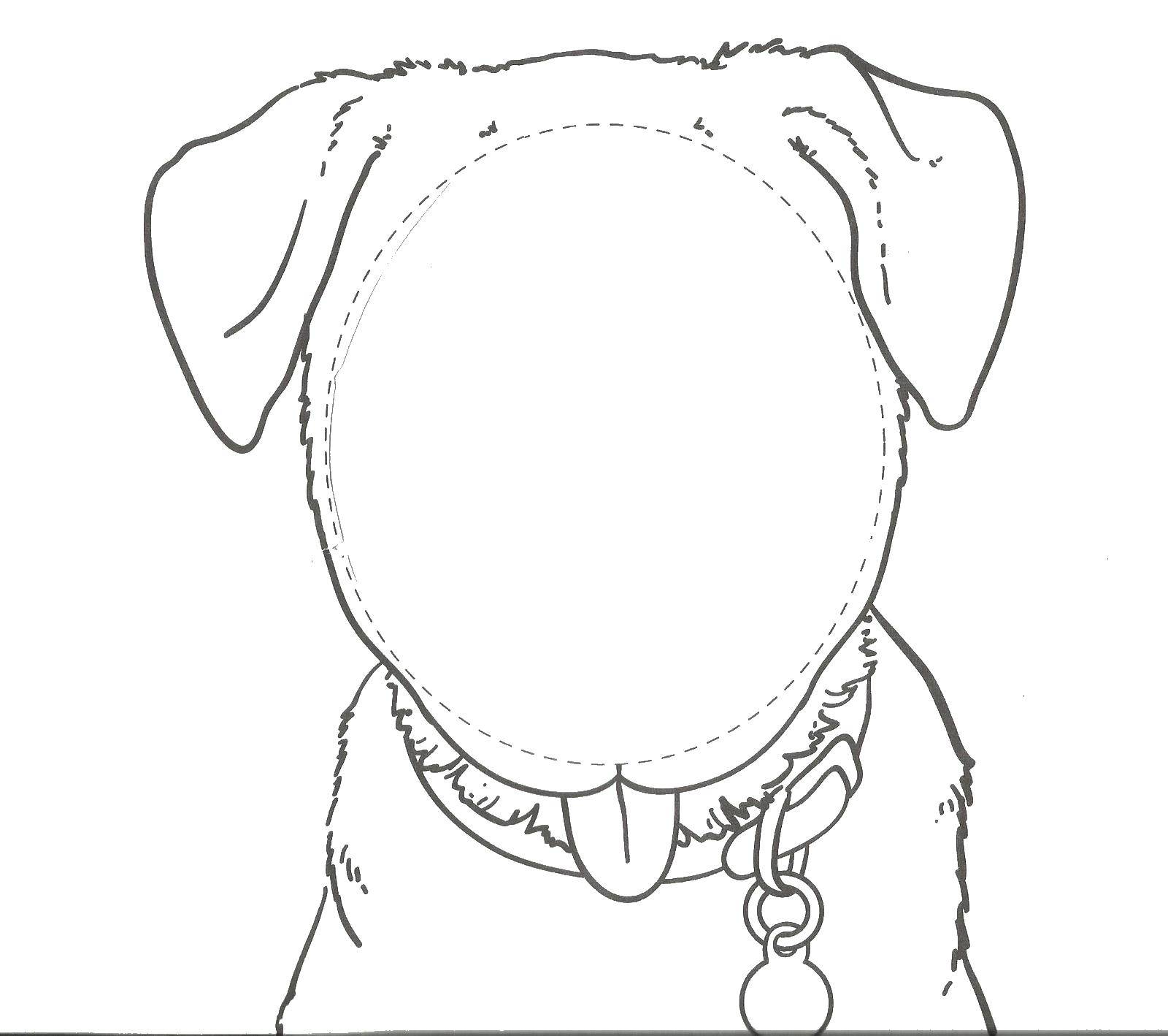 Розмальовки  Домалюй песику мордочку. Завантажити розмальовку тварини, собака, собака, пес.  Роздрукувати ,собаки,