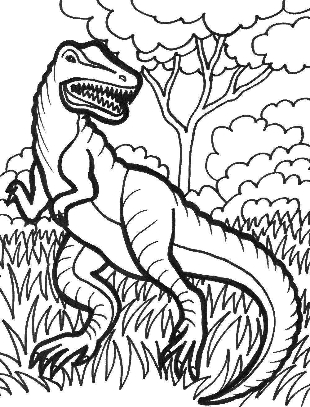 Опис: розмальовки  Тиранозавр в траві. Категорія: парк юрського періоду. Теги:  Динозаври, тиранозавр.