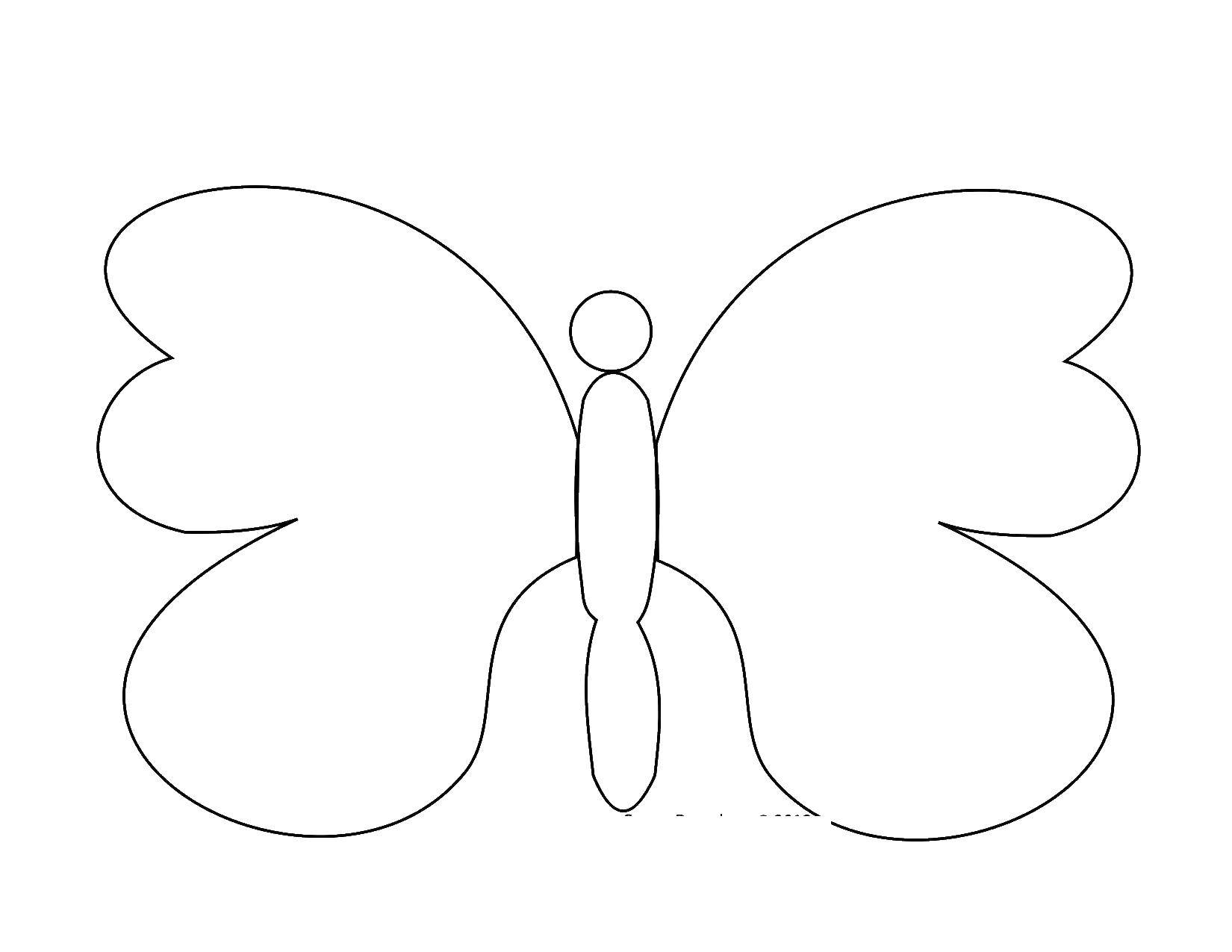 Название: Раскраска Бабочка с неузорчатыми крылышками. Категория: бабочки. Теги: насекомые, бабочка, крылья.