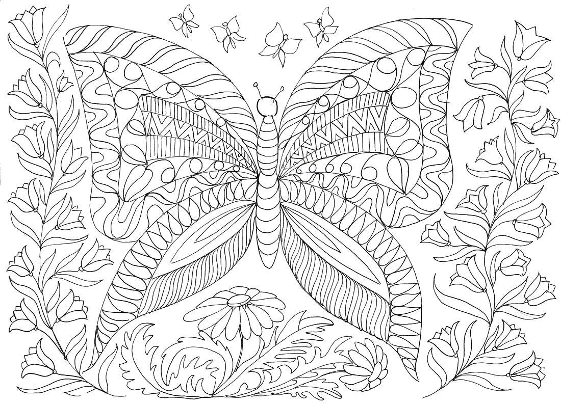 Название: Раскраска Бабочка среди цветов. Категория: бабочки. Теги: Бабочка, цветы.