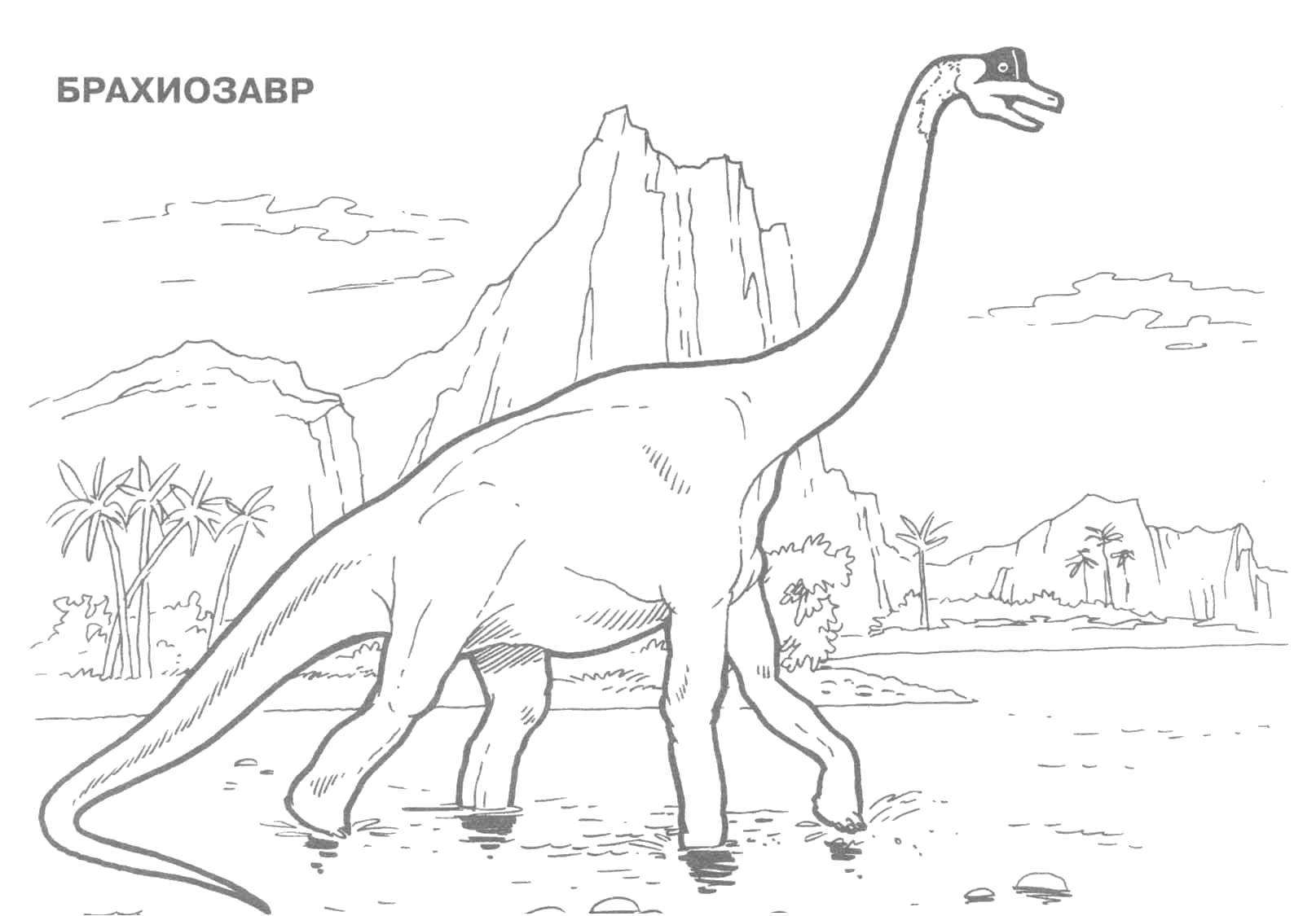 Название: Раскраска Брахиозавр. Категория: парк юрского периода. Теги: Динозавры.