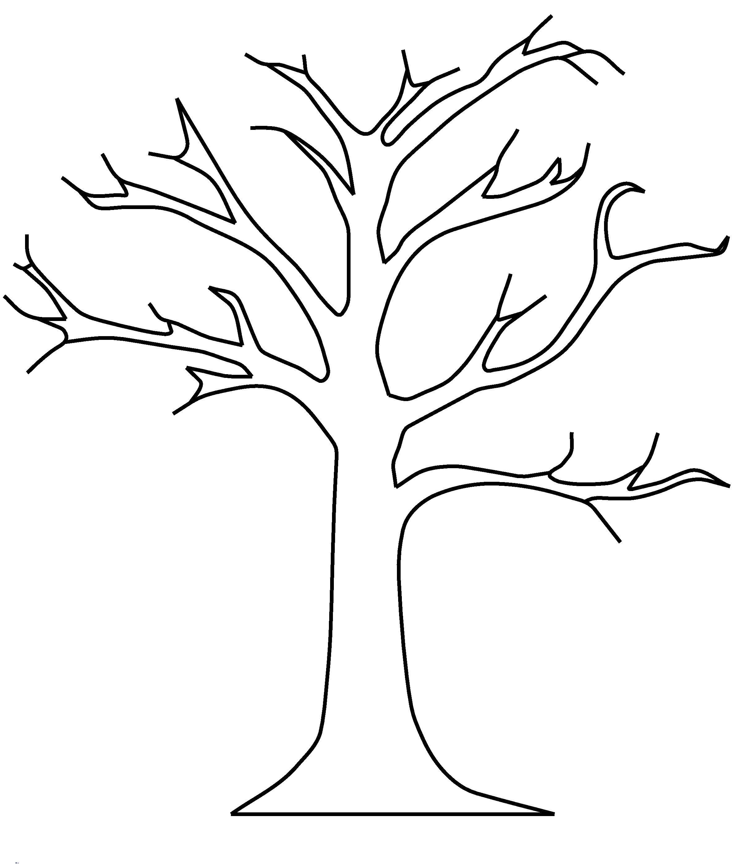 Coloring Tree without leaves. Category The contour of the tree. Tags:  contours, trees, templates.