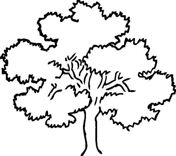Название: Раскраска Дерево с листвой. Категория: Контур дерева. Теги: деревья, листья.