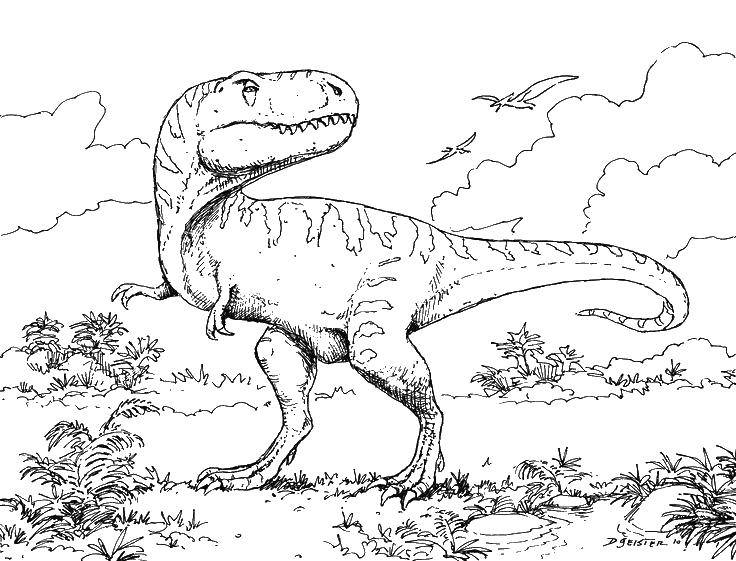 Название: Раскраска Динозавр юрского периода. Категория: парк юрского периода. Теги: динозавр Рекс.