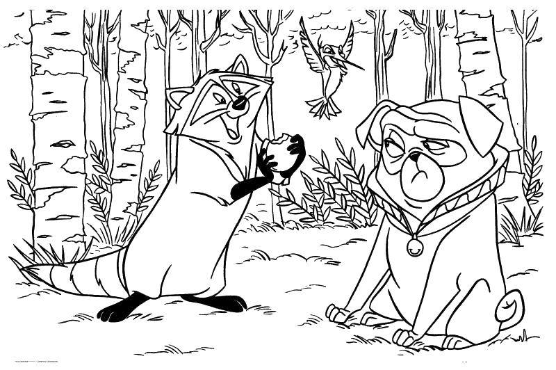 Coloring A raccoon and a bulldog. Category Cartoon character. Tags:  Cartoon character.