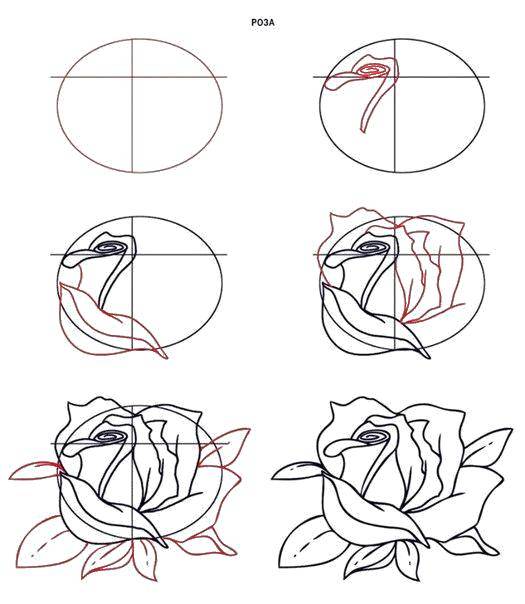 Название: Раскраска Как нарисовать розу. Категория: как нарисовать поэтапно карандашом. Теги: как нарисовать, роза.