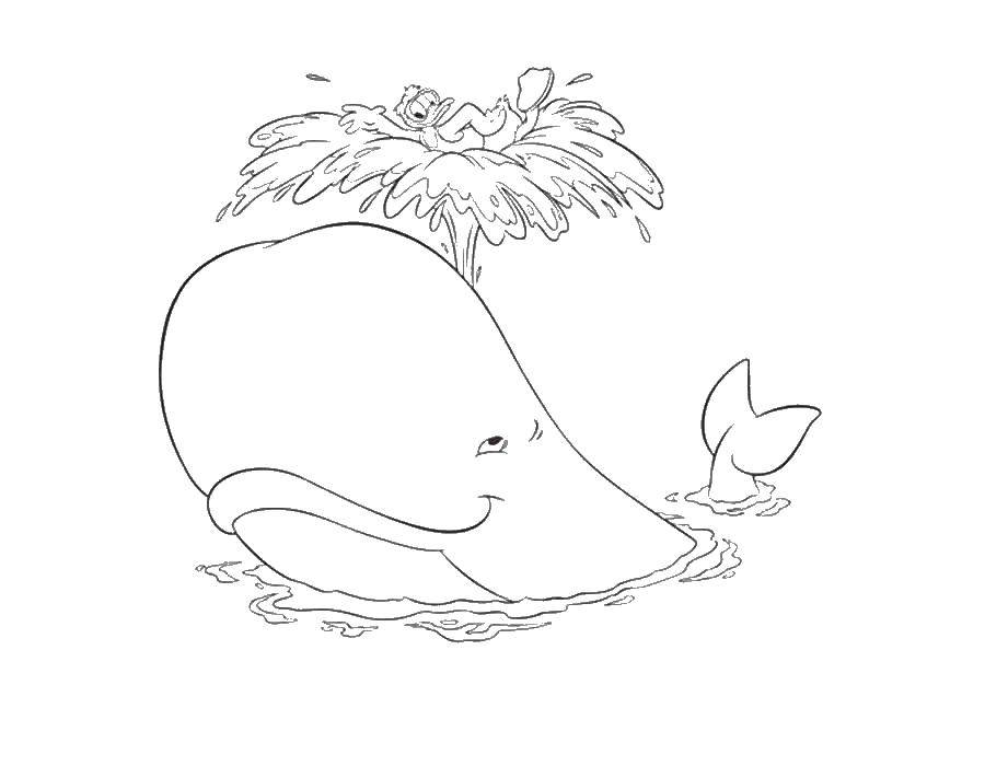 Coloring Keith and Donald duck. Category Disney coloring pages. Tags:  disney, Donald duck, whale.