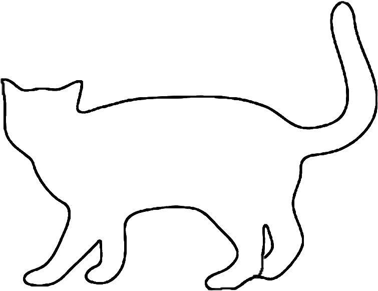 Coloring Contour cats. Category The contour of the cat to cut. Tags:  the outline for cutting, cats, cat.