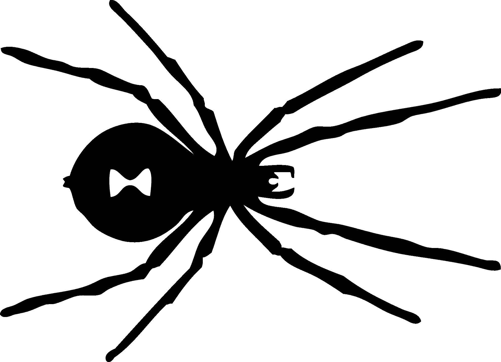Название: Раскраска Контур паука. Категория: Контур паук. Теги: контуры, шаблоны, пауки.