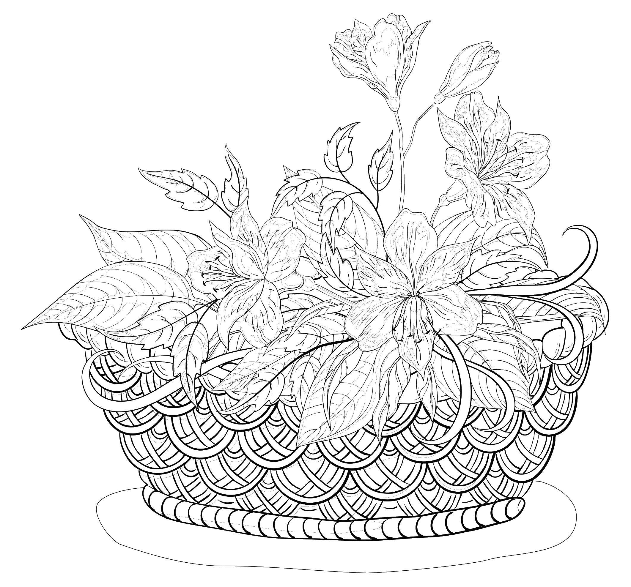 Coloring Basket of flowers. Category coloring for adults. Tags:  for adults, antistress, patterns.