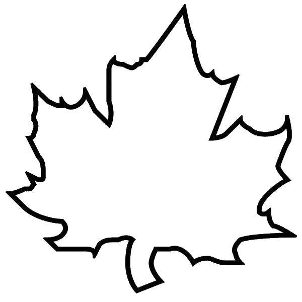 Coloring Maple leaf. Category The contours of the leaves of the trees. Tags:  leaves, leaf, maple.