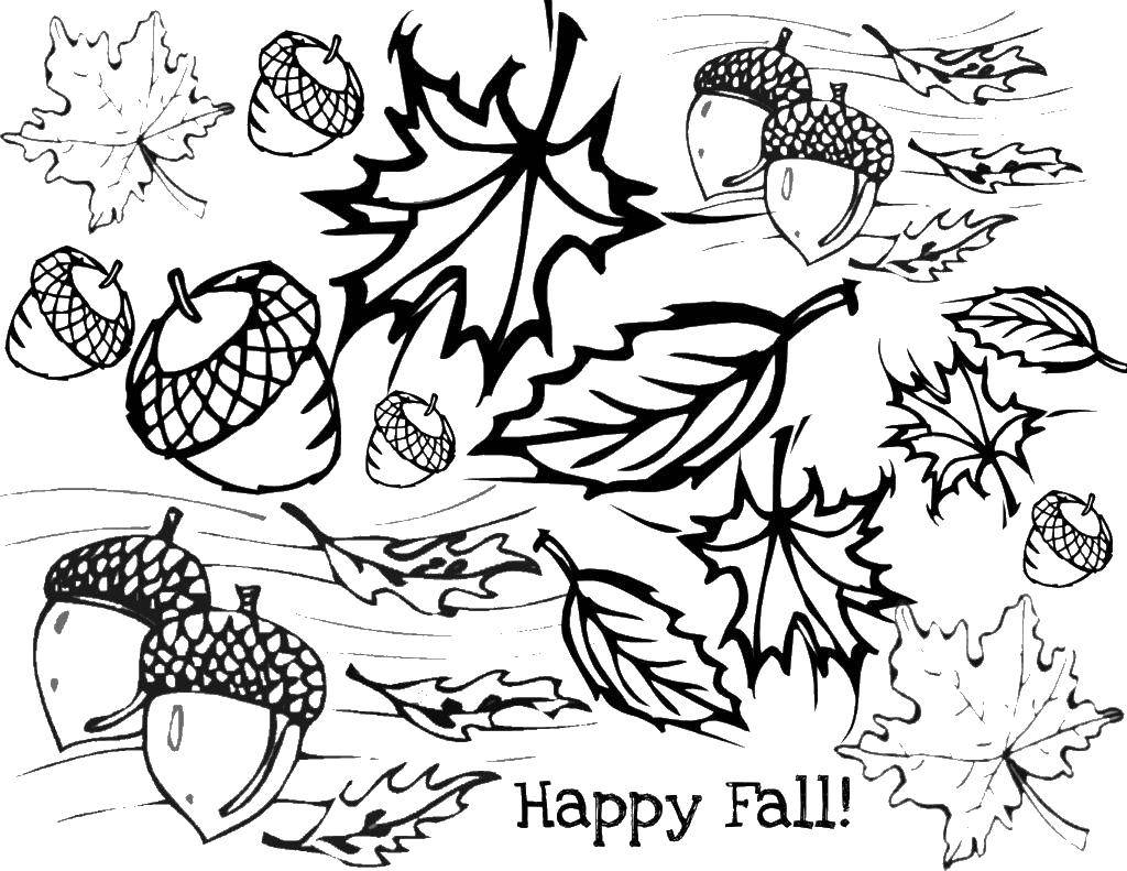 Название: Раскраска Листья и желуди. Категория: Осень. Теги: осень, желуди.