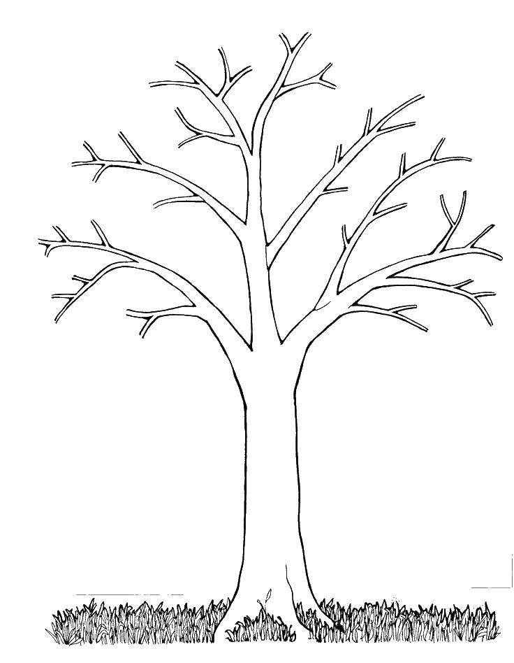 Изображения по запросу Зимние деревья рисунок