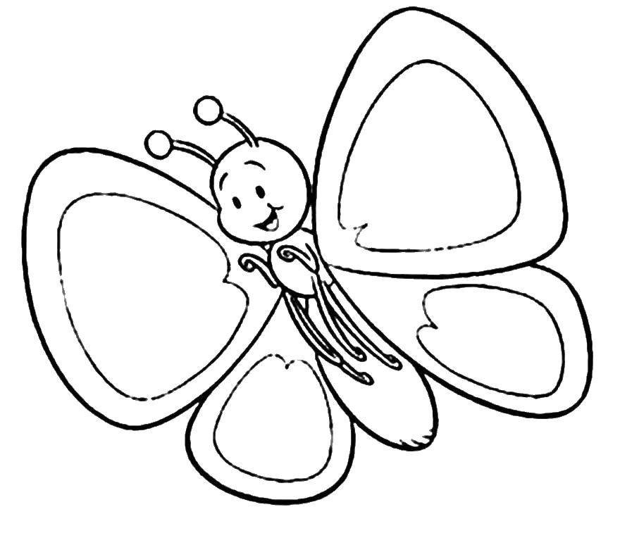 Название: Раскраска Малютка бабочка. Категория: бабочки. Теги: насекомые, бабочки.