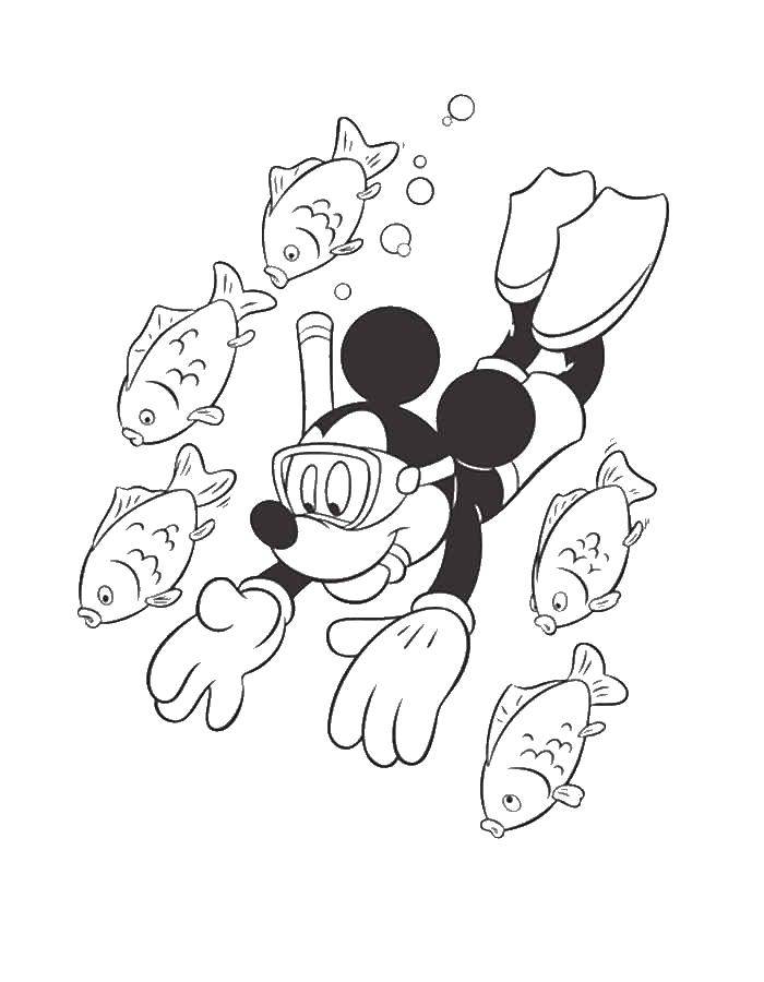 Coloring Mickey mouse fish. Category Mickey mouse. Tags:  Mickey Mau, fish, Disney.