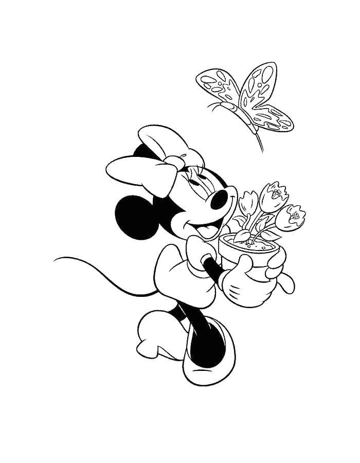Coloring Mrs. mouse with flowers. Category Mickey mouse. Tags:  Mickey Mouse, Mrs. Mouse.