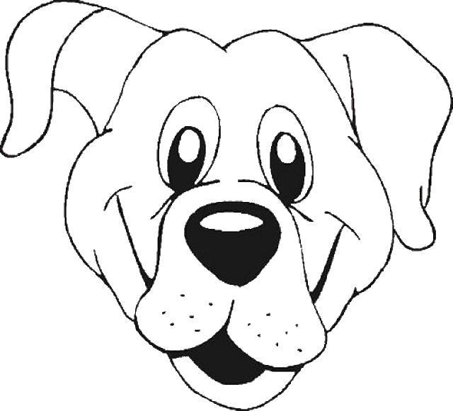 Coloring Face. Category Animals. Tags:  Animals, dog.