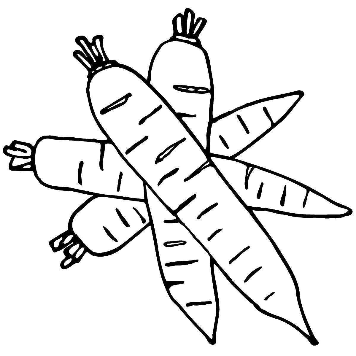 Название: Раскраска Морковки. Категория: Контуры для вырезания овощей. Теги: морковка.