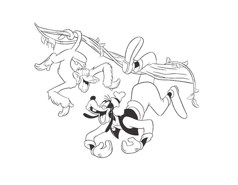 Coloring The monkey and the dog on a branch. Category Disney coloring pages. Tags:  disney, dog, monkey.