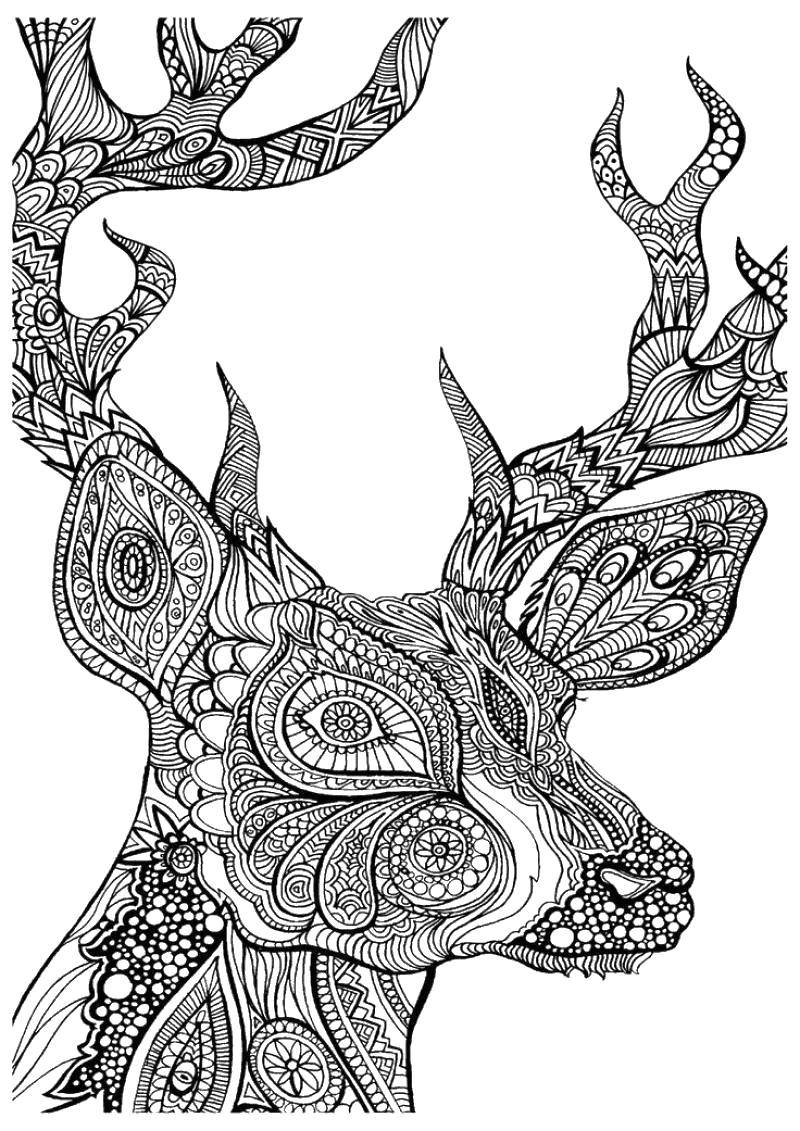 Coloring Deer in the patterns. Category coloring for adults. Tags:  Bathroom with shower.
