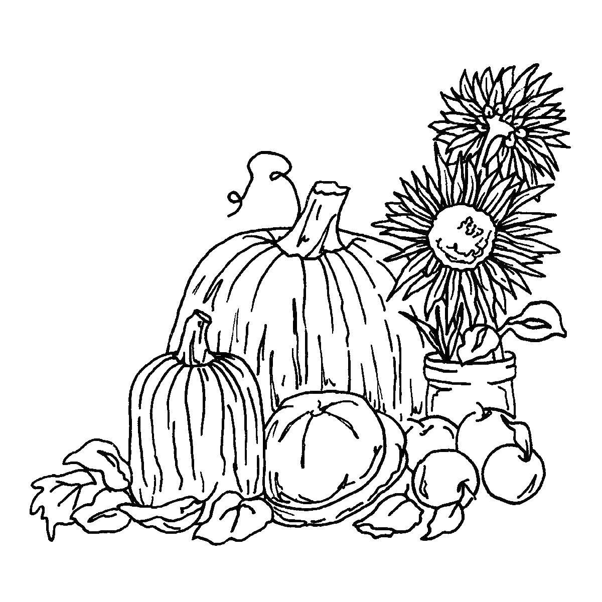 Coloring Autumn gifts. Category Autumn. Tags:  fall, harvest, gifts.