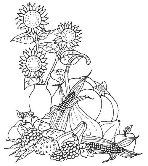 Coloring Sunflowers and vegetables. Category Autumn. Tags:  autumn, harvest, vegetables, sunflowers.