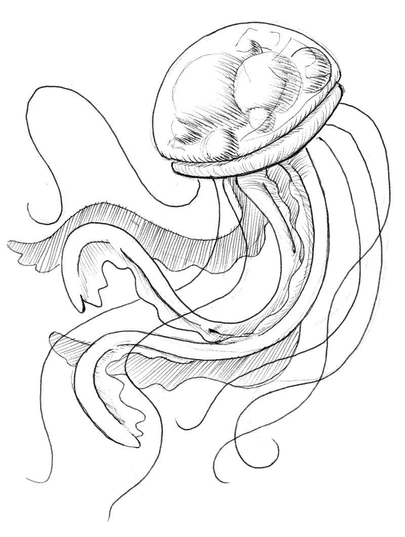 Стилизованная медуза