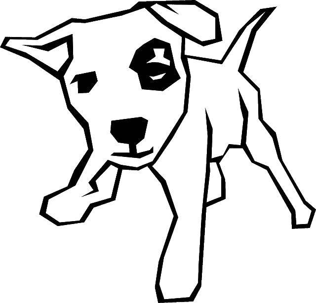 Coloring Spot on eye. Category Animals. Tags:  Animals, dog.
