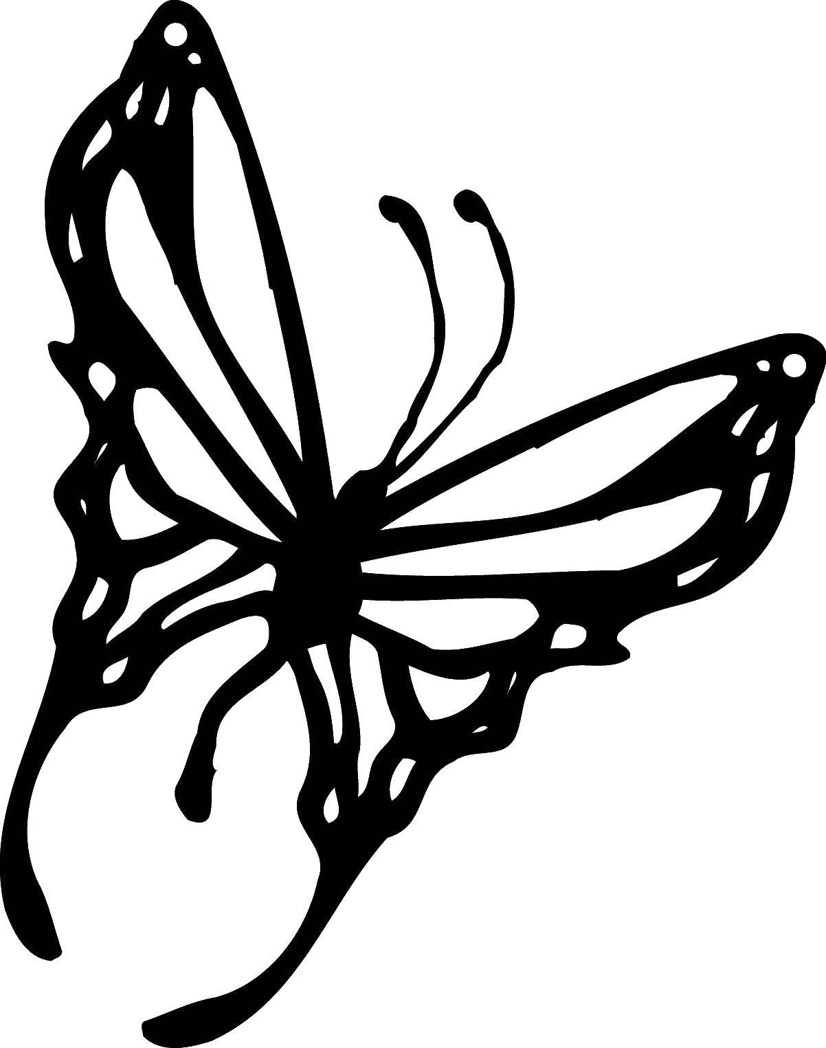 Название: Раскраска Раскрась крылышки. Категория: бабочки. Теги: насекомые, бабочка, крылья.