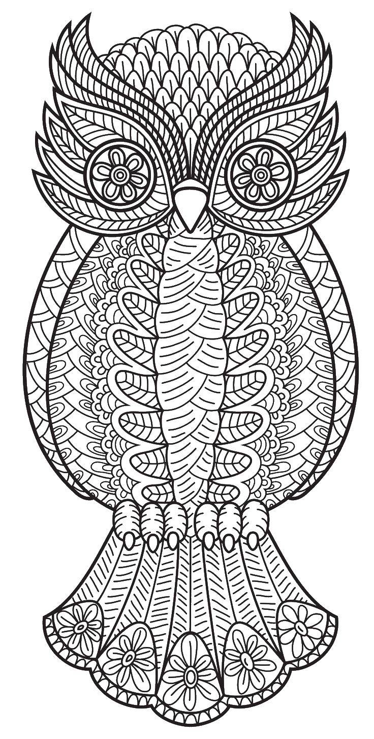 Coloring Coloring owls-stress. Category coloring antistress. Tags:  owl-stress .
