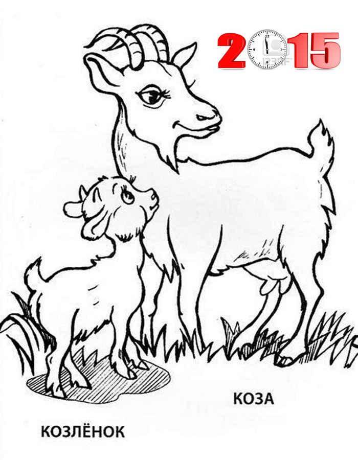 Название: Раскраска Рисунок козы и козленка 2015. Категория: домашние животные. Теги: Козы.