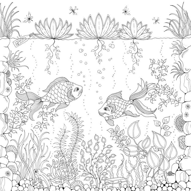 Coloring Fish in the magic pond. Category Bathroom with shower. Tags:  Bathroom with shower.
