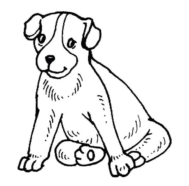Название: Раскраска Щенок сидит. Категория: контуры собаки. Теги: щенок, собака.
