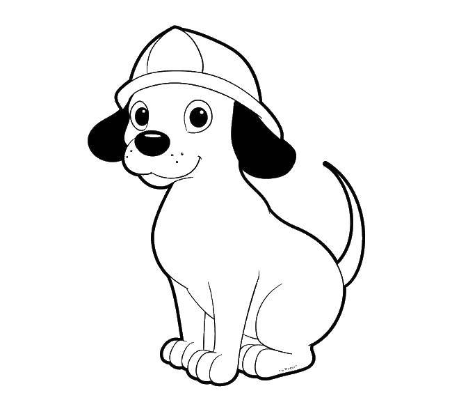 Название: Раскраска Щенок в каске. Категория: контуры собаки. Теги: щенок, каска.