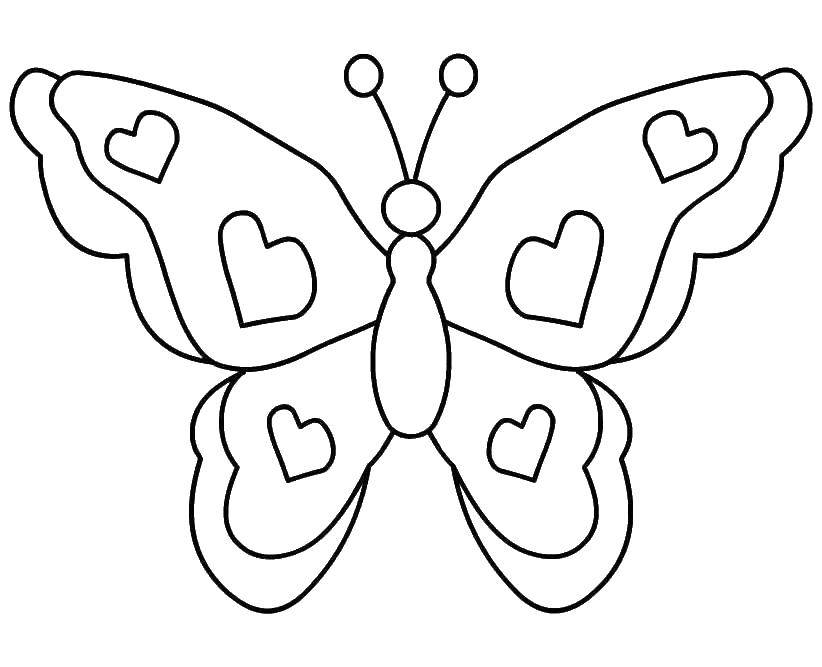 Название: Раскраска Сердечки на крыльях бабочки. Категория: бабочки. Теги: насекомые, бабочка, крылья.