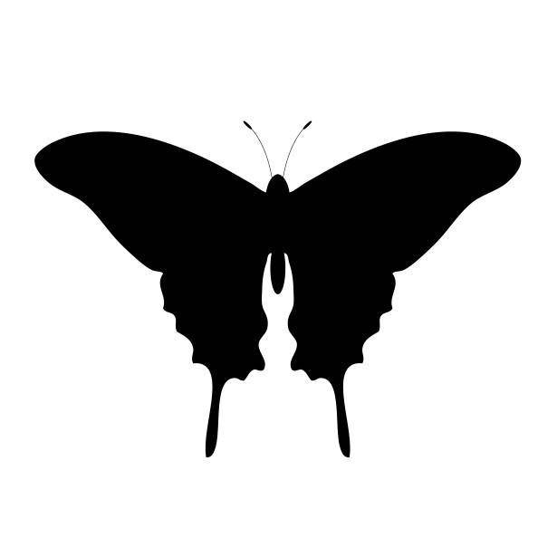 Название: Раскраска Шаблон бабочки. Категория: Шаблоны для вырезания. Теги: шаблоны для вырезания, контуры, бабочки.
