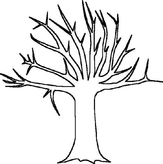 Coloring Template for cut-out. Category The contour of the tree. Tags:  patterns, contours, trees.