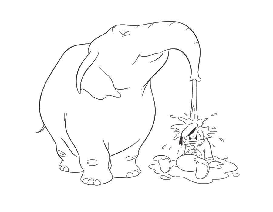 Название: Раскраска Слон и дональд дак. Категория: Диснеевские мультфильмы. Теги: дисней, слон, дональд дак.