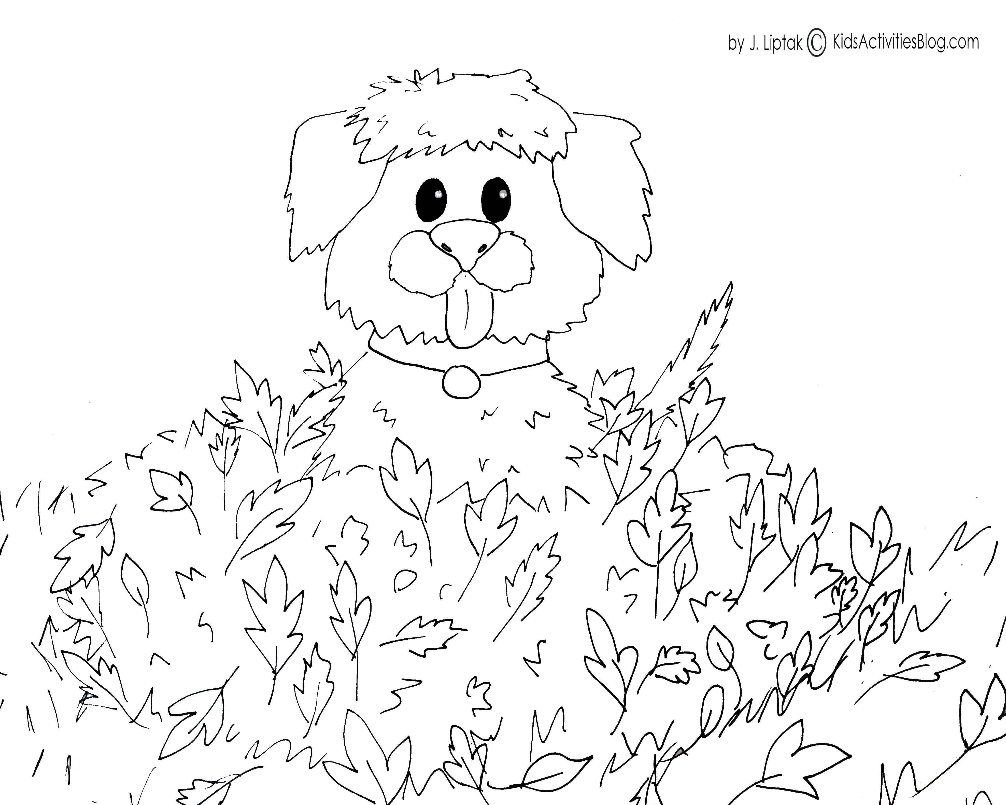 Coloring Dog in a mountain of leaves. Category Autumn. Tags:  autumn, leaves, dog.