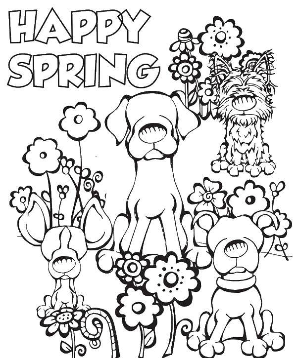 Coloring Dogs in summer. Category Spring. Tags:  spring, dogs.