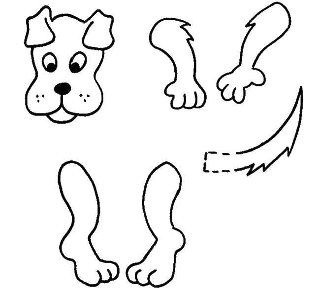 Coloring Collect the dog. Category the contours of the dog. Tags:  the dog, loop.